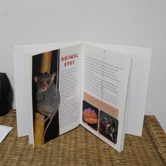 Disney’s Year Book 1996 – A Magical Celebration of a Year in Disney History. - Picture 5 of 6